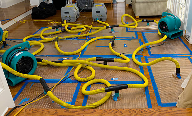 Professional Flood Damage Restoration technician working in Maysville, MO